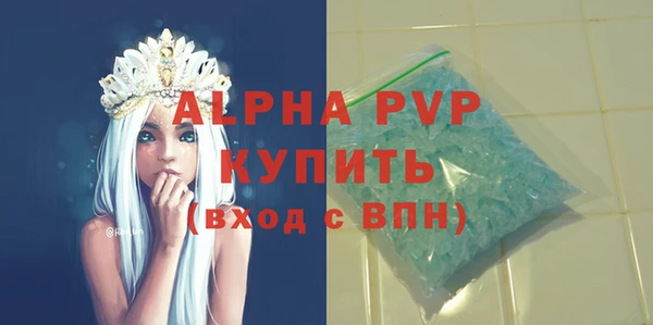 гашик Липки