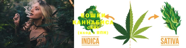 PSILOCYBIN Лиски