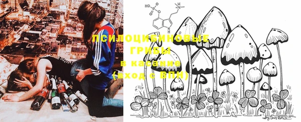 PSILOCYBIN Лиски