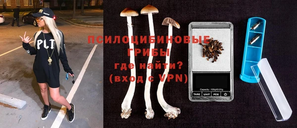 гашик Липки