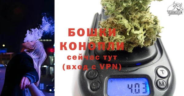 гашик Липки