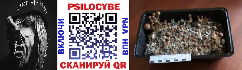 Псилоцибиновые грибы ЛСД Красноуральск